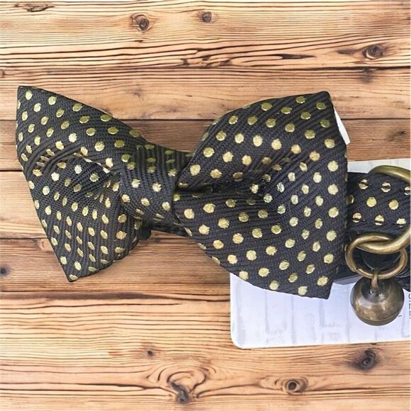 NWT New Whisker City Pet Adjustable Kitten Collar Black/Gold Polka Dots Bow OS - Picture 2 of 3